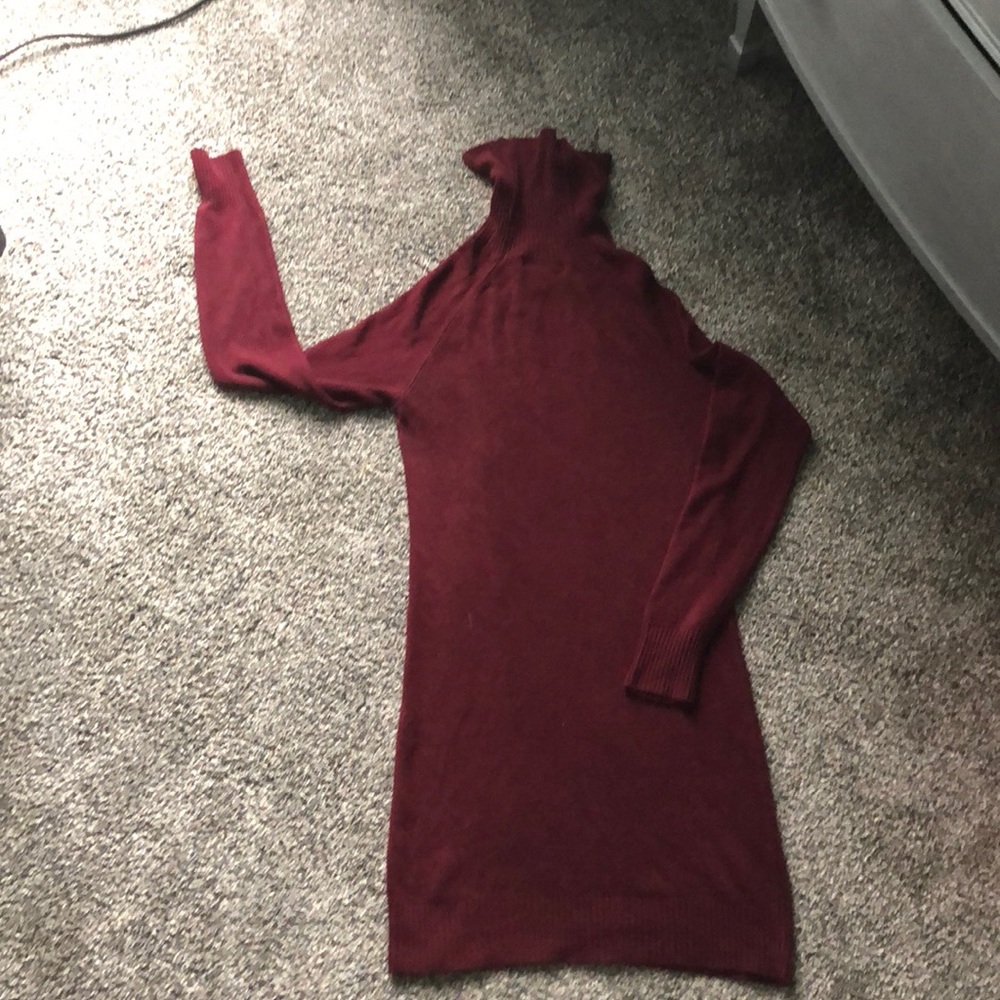 Burgundy turtle neck sweater dress